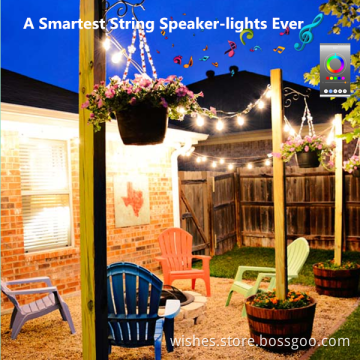 smart wedding festoon lighting